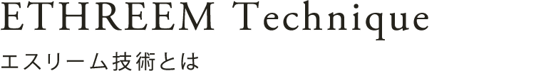 エスリーム技術とは