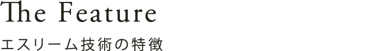エスリーム技術の特徴